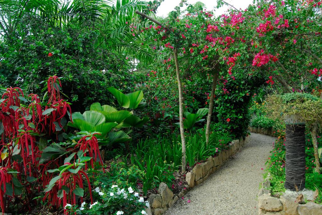 Hosteria Mandala Puerto López المظهر الخارجي الصورة