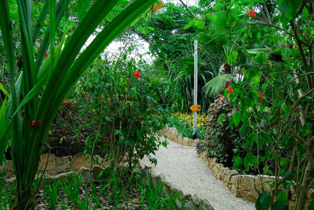 Hosteria Mandala Puerto López المظهر الخارجي الصورة