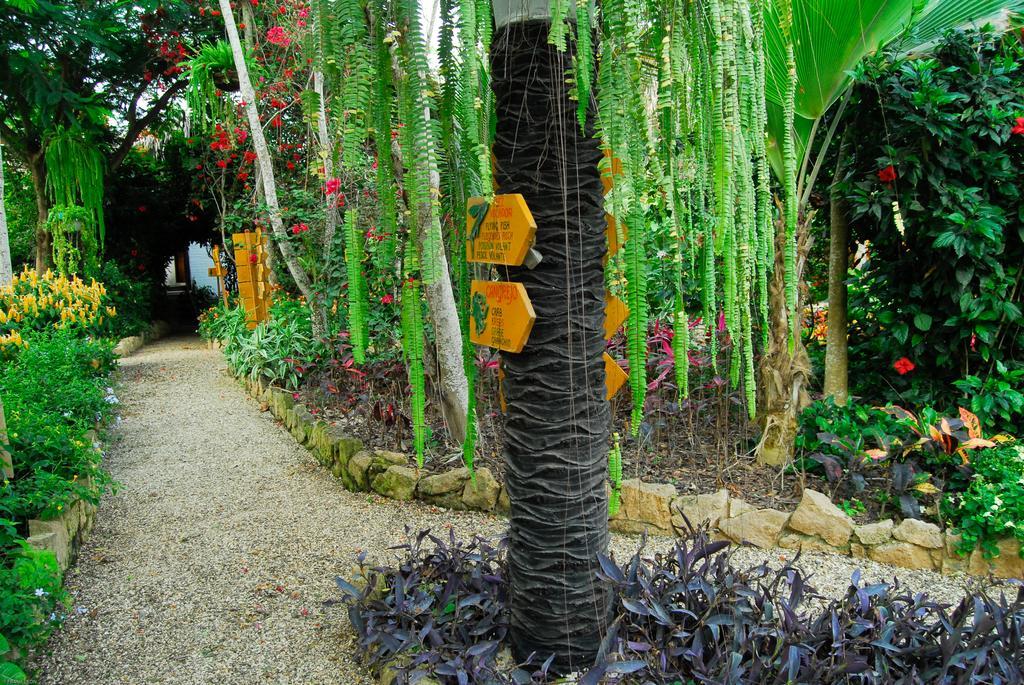 Hosteria Mandala Puerto López المظهر الخارجي الصورة